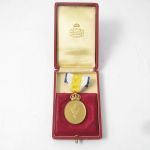 603 5344 Medalj